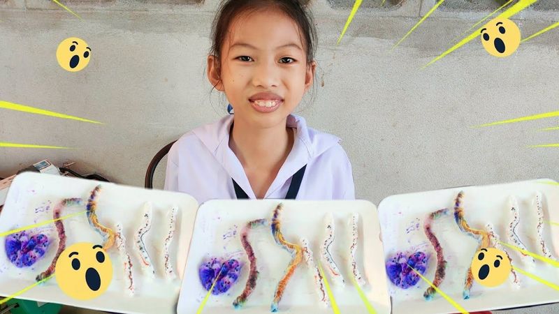 พี่มีนา | หนอนดิ้นได้ | การทดลองง่ายๆ แสนสนุก | @พี่มีนา แม่โบว์