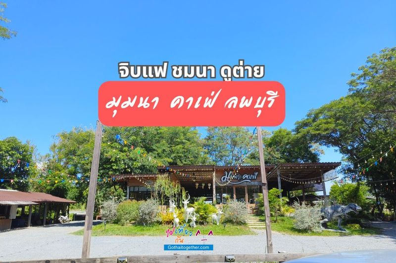 จิบแฟ ชมนา ดูต่าย ที่ มุมนา คาเฟ่ ร้านกาแฟ เพลินๆ @ลพบุรี - ไปเที่ยวกัน ^__^ แหล่งท่องเที่ยว ที่พัก ทริปการเที่ยว
