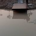 "อุเบกขา" โคก หนองนา ป่า สวนผสม