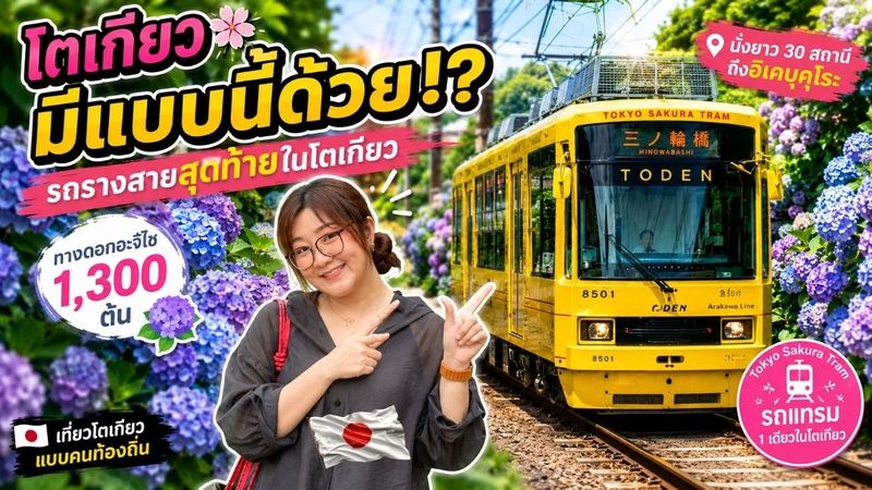 คนไทยไม่ค่อยรู้จัก! นั่งรถรางสายสุดท้ายในโตเกียว ผ่านทางดอกอะจิไซ 1,300 ต้น 🚋🌸